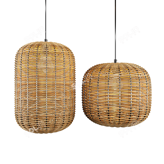 Rattan and Metal Ceiling Lamp 3D model image 6