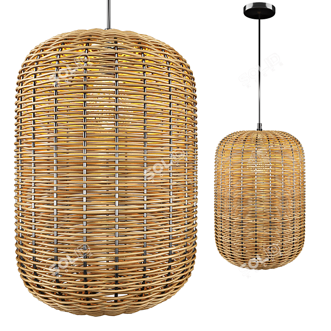 Rattan and Metal Ceiling Lamp 3D model image 7