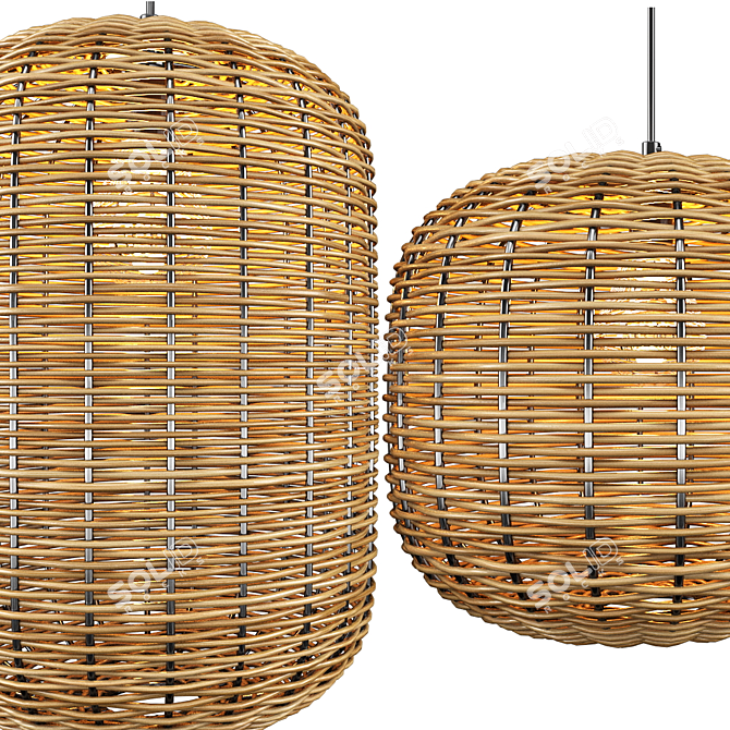 Rattan and Metal Ceiling Lamp 3D model image 10