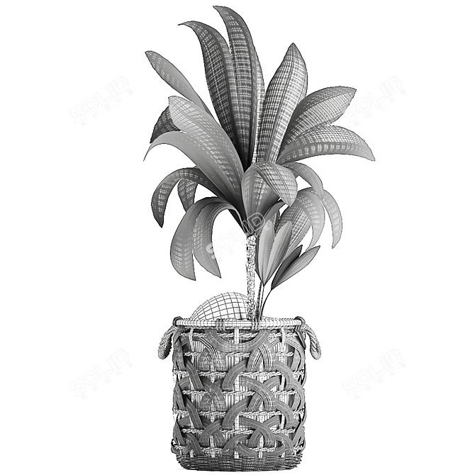 Title: Exotic Coco Collection: Decorative Young Coconut Palm in Rattan Basket 3D model image 5