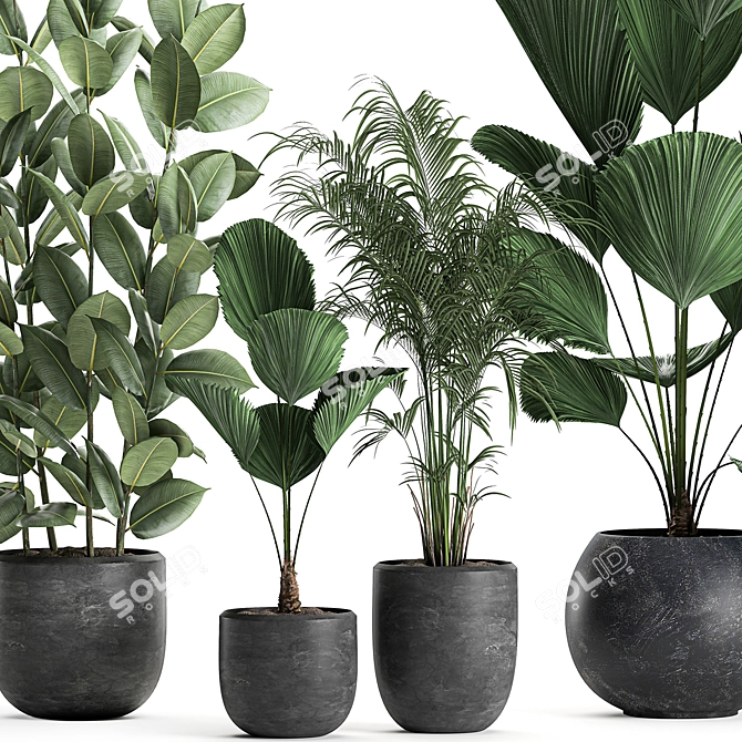 Exotic Plant Collection in Black Vase 3D model image 2