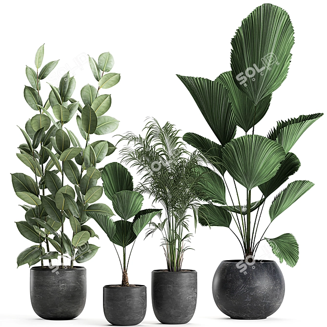 Exotic Plant Collection in Black Vase 3D model image 4