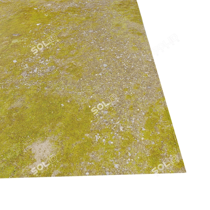 Elevated Meadow Stone 3D model image 2
