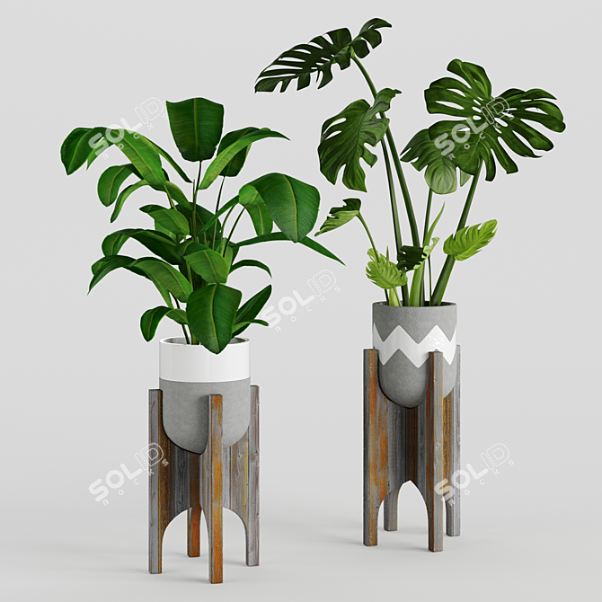  Exotic Jungle in Pots 3D model image 1