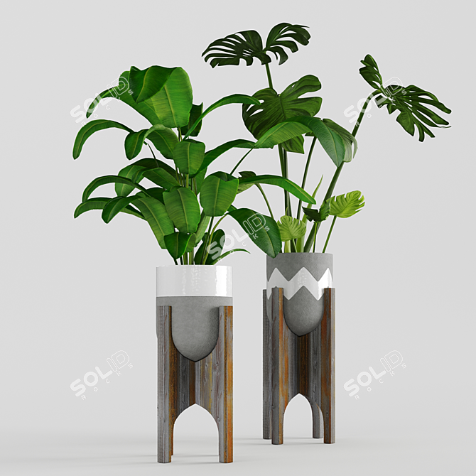  Exotic Jungle in Pots 3D model image 2