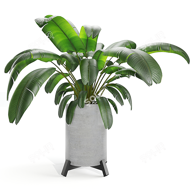 Poly Collection: Vibrant Plants 3D model image 1