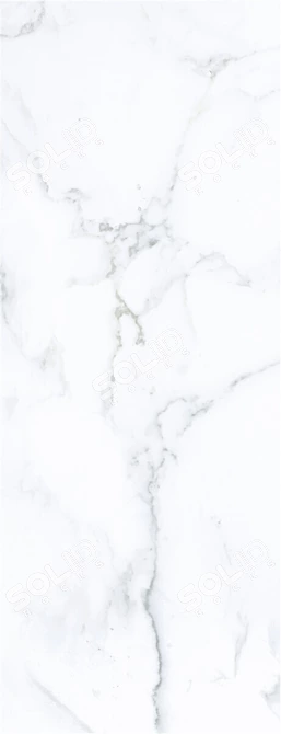 Museum Borghini Bianco: Elegant Marble Wall Tiles 3D model image 4