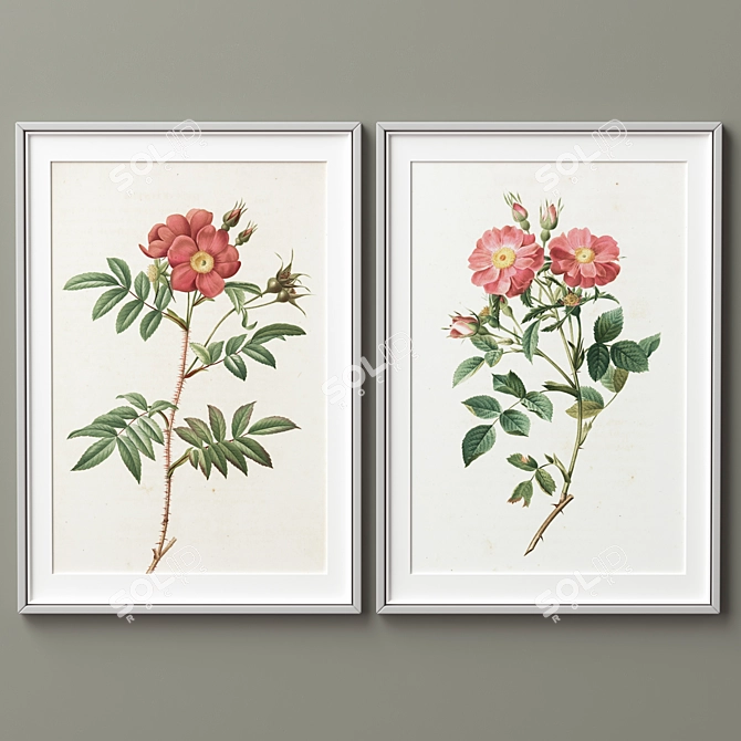 Modern Frame Collection: 2 Frames, 5 Colors, 3 Sizes 3D model image 3