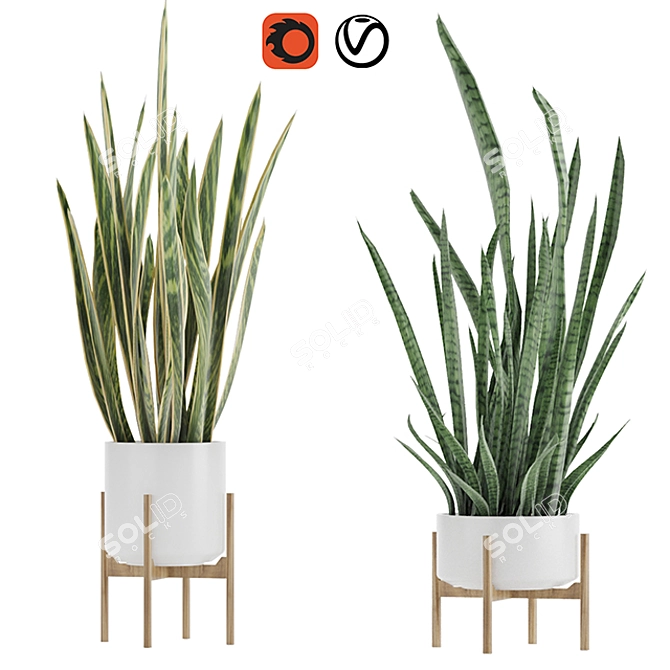 Sleek and Stylish Sansevieria 2 3D model image 1