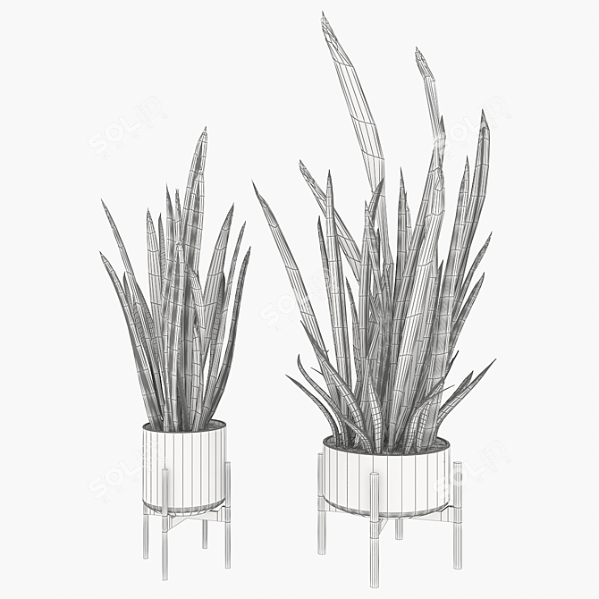 Sleek and Stylish Sansevieria 2 3D model image 4