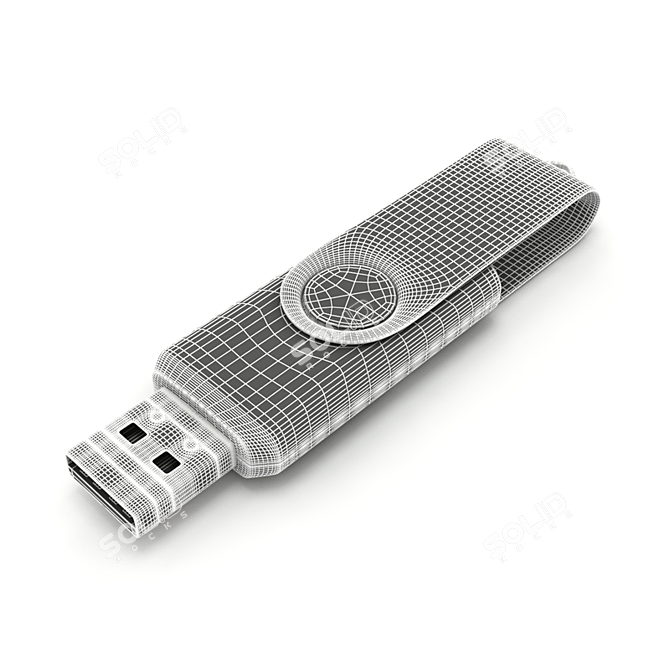 3D Model Flash Drive 3D model image 4