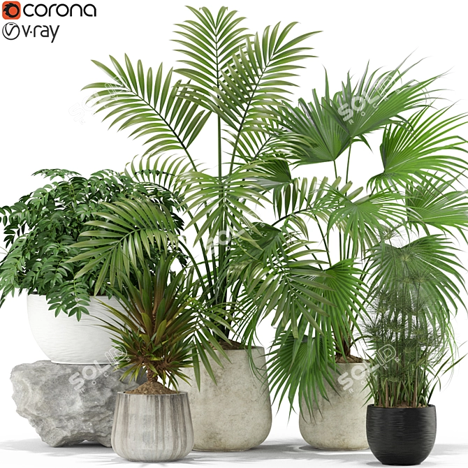 Green Oasis: Contempo Plants Collection 3D model image 1