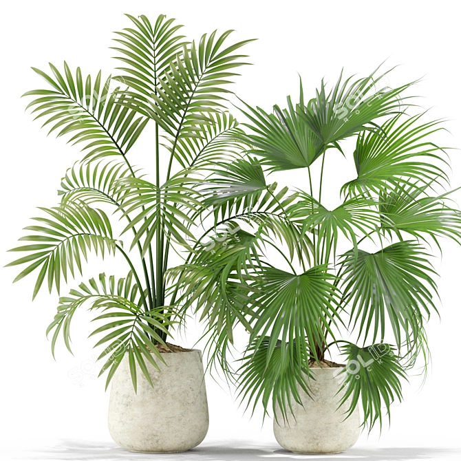 Green Oasis: Contempo Plants Collection 3D model image 2