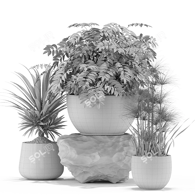 Green Oasis: Contempo Plants Collection 3D model image 5