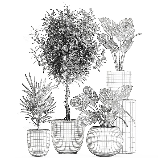 Title: Exotic Plant Collection in White Vase 3D model image 5