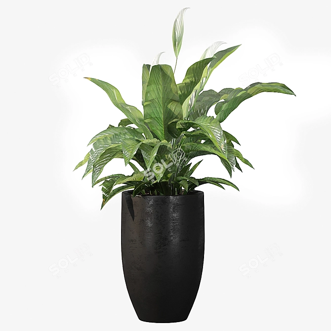 Exquisite Peace Lily Collection 3D model image 3