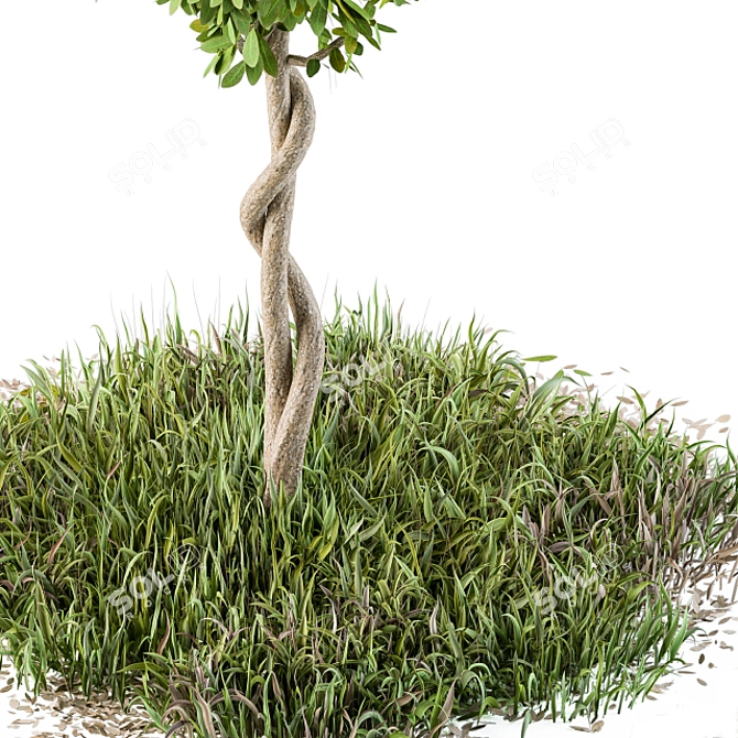 48" Outdoor Broadleaf Tree with Wild Grass 3D model image 2