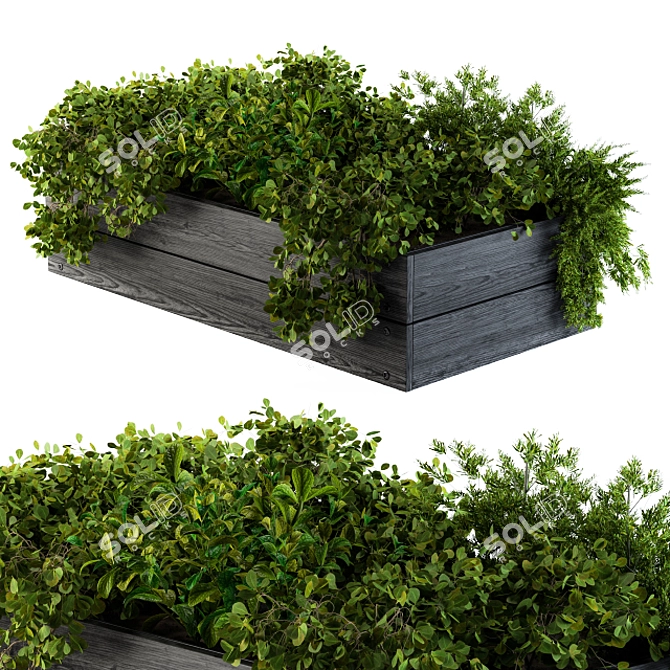 Outdoor 55: Compact Garden Plants 3D model image 1