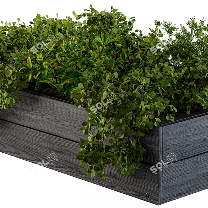 Outdoor 55: Compact Garden Plants 3D model image 3