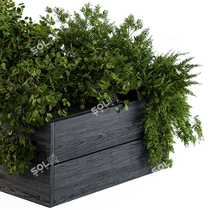 Outdoor 55: Compact Garden Plants 3D model image 4