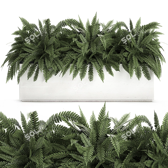 Exotic Tropical Indoor Plant Collection in White Pots 3D model image 1