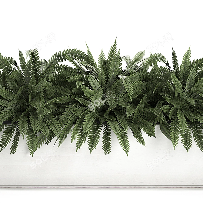 Exotic Tropical Indoor Plant Collection in White Pots 3D model image 2