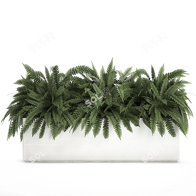 Exotic Tropical Indoor Plant Collection in White Pots 3D model image 4