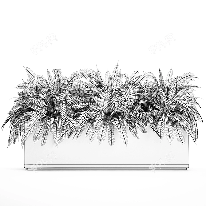 Exotic Tropical Indoor Plant Collection in White Pots 3D model image 5