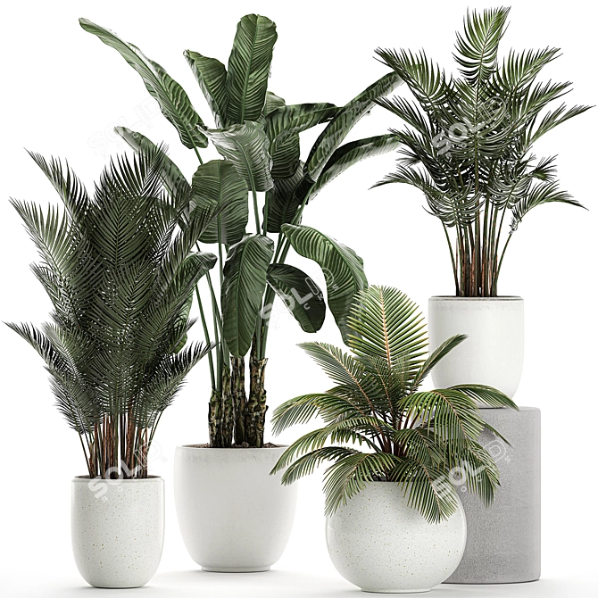 Exotic Plant Collection in White Vase 3D model image 1