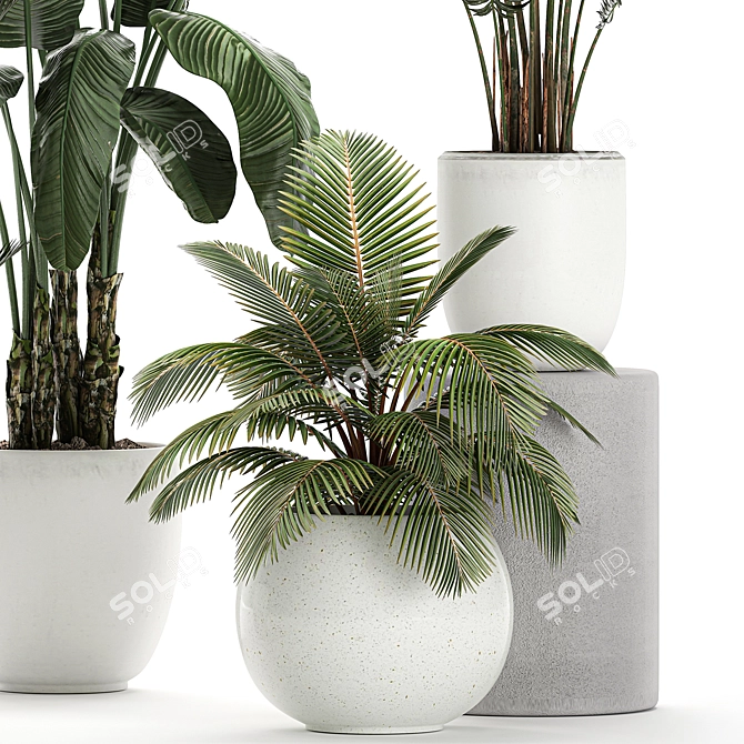 Exotic Plant Collection in White Vase 3D model image 2