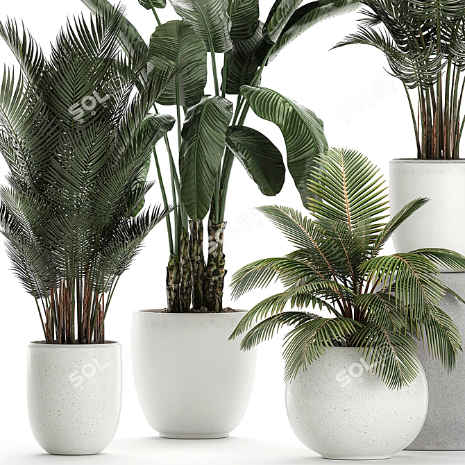 Exotic Plant Collection in White Vase 3D model image 3
