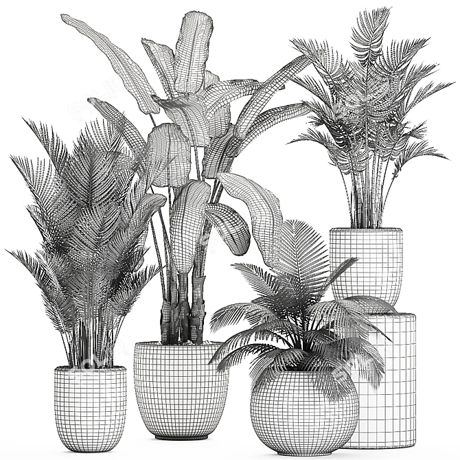 Exotic Plant Collection in White Vase 3D model image 5