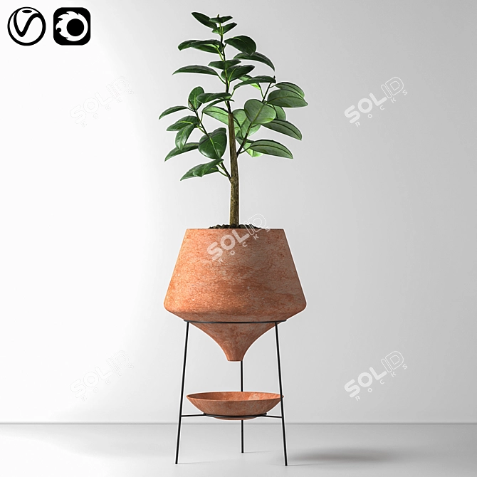 Elegant Indoor Decorative Plant 3D model image 1