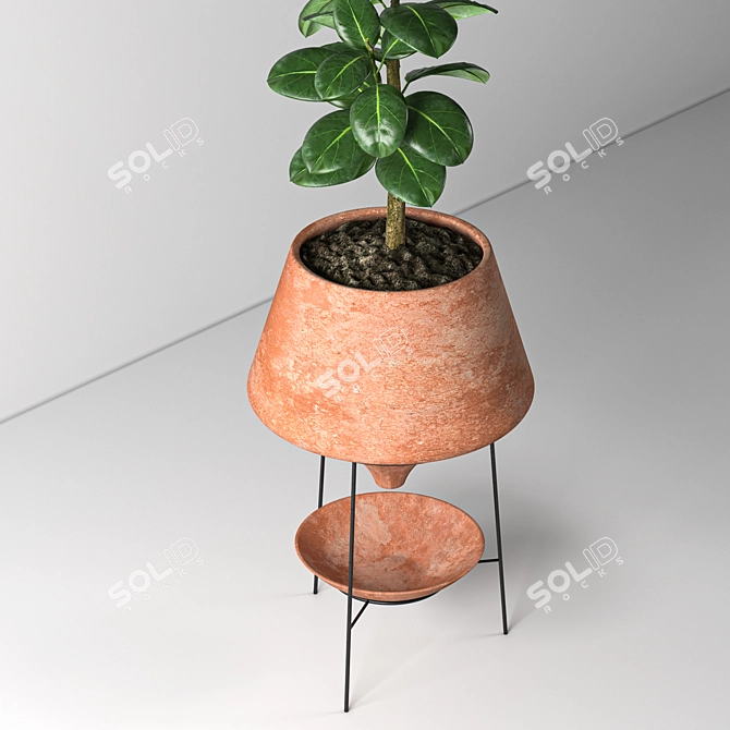 Elegant Indoor Decorative Plant 3D model image 3