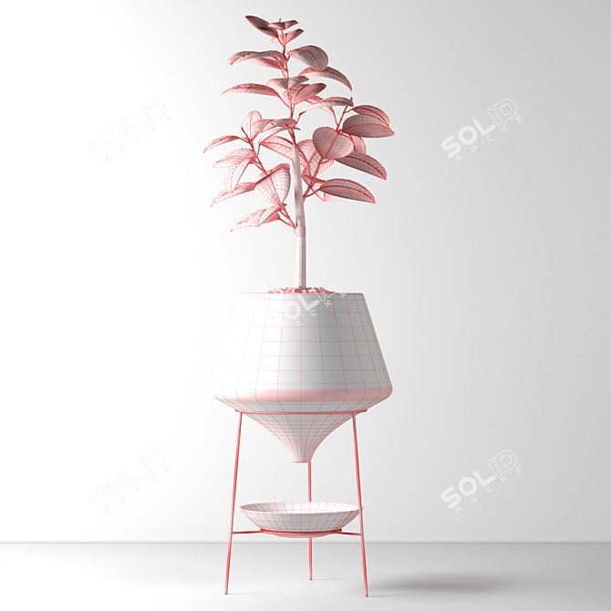 Elegant Indoor Decorative Plant 3D model image 4