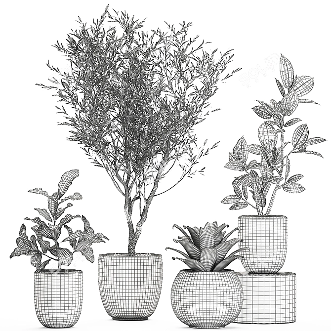 Exotic Plant Collection: Indoor & Outdoor Greenery 3D model image 5