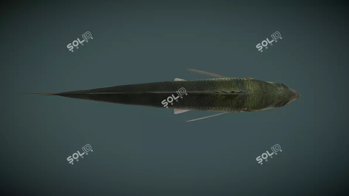  Low Poly 3D River Perch Model 3D model image 3
