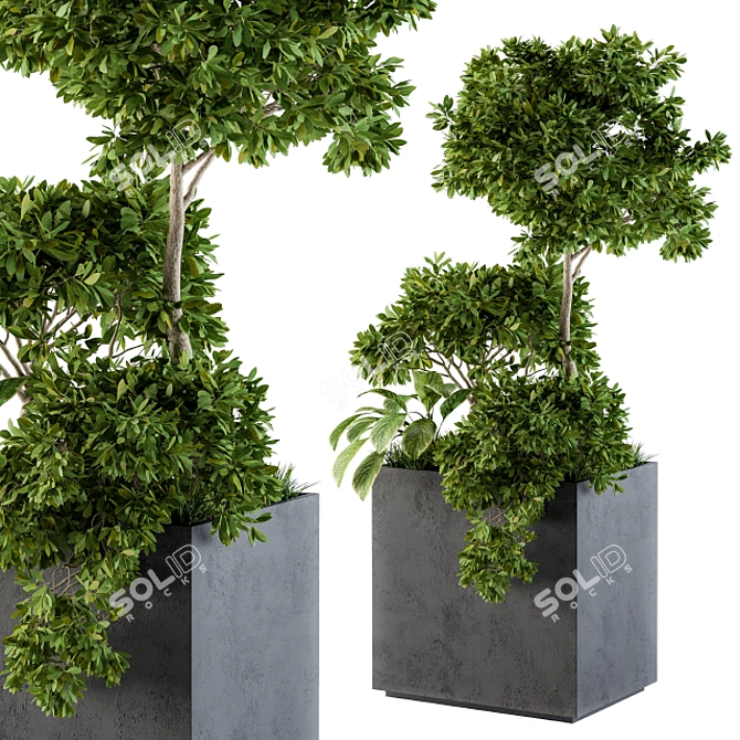  Concrete Box Set 58 - Outdoor Plant Décor 3D model image 3