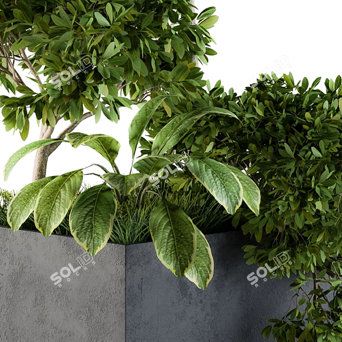  Concrete Box Set 58 - Outdoor Plant Décor 3D model image 4