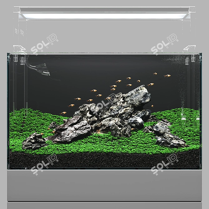 Aquarium Nature Aquascape Kit 3D model image 2