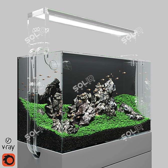 Aquarium Nature Aquascape Kit 3D model image 6