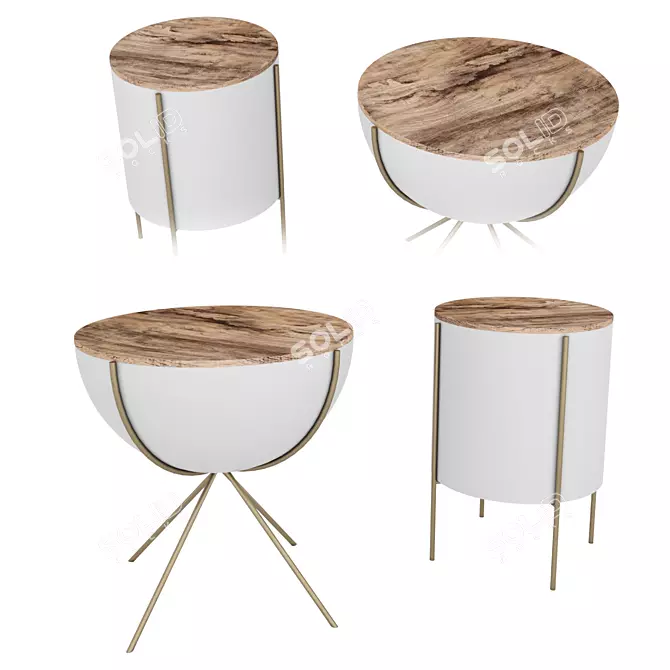 Exquisite Thomas Bina Tables 3D model image 1