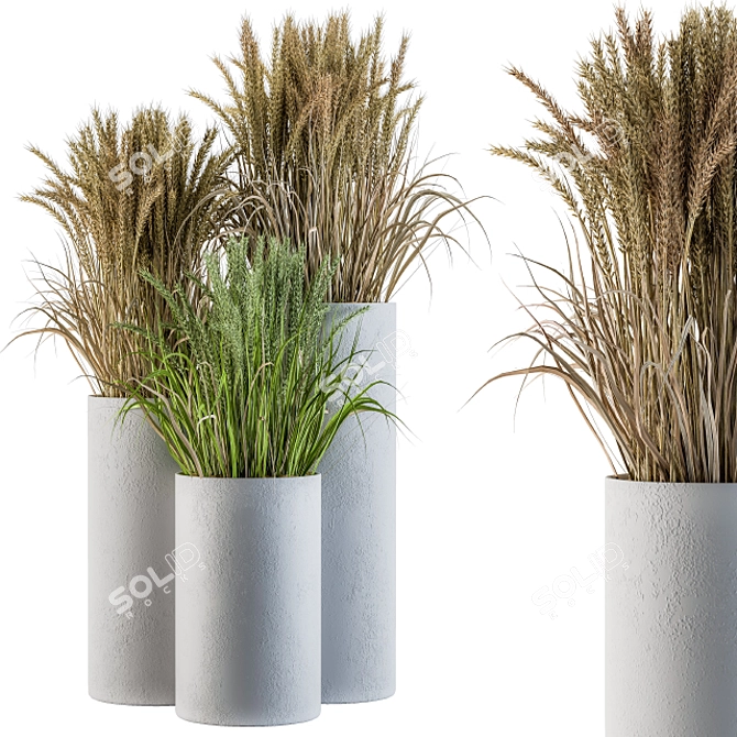 Concrete Round Pot with Wheat & Wild Grass 3D model image 1