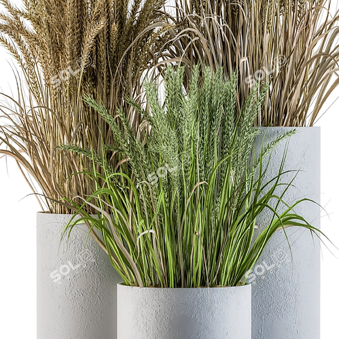 Concrete Round Pot with Wheat & Wild Grass 3D model image 3