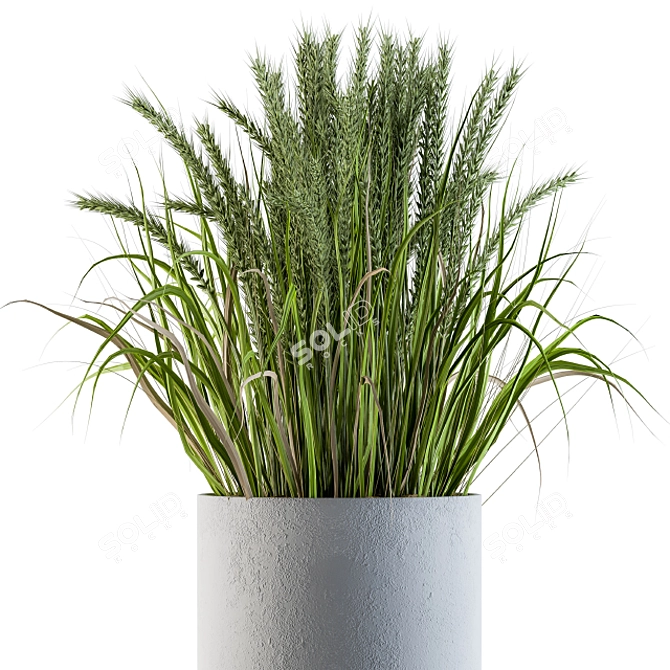 Concrete Round Pot with Wheat & Wild Grass 3D model image 4