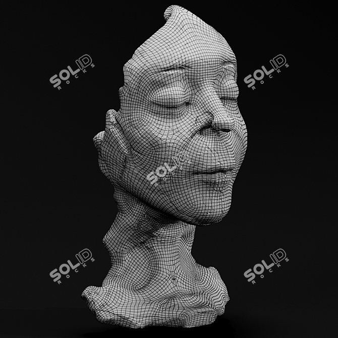 Sculpted Face Artistry 3D model image 2