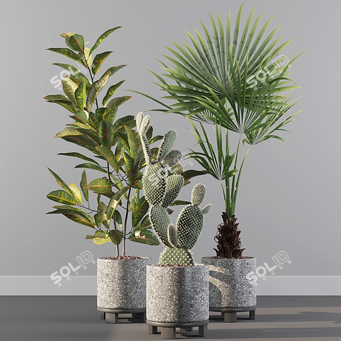 Terrazzo Flower Pot with Plants 3D model image 2