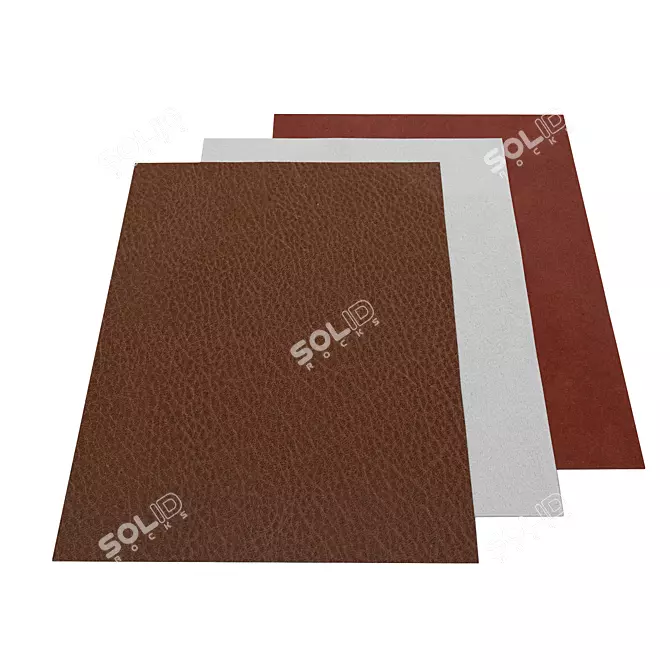 Premium Leather Collection: Timeless Elegance 3D model image 1