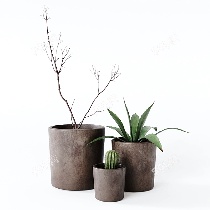 Indoor Greenery: Dynamic Composition 3D model image 1
