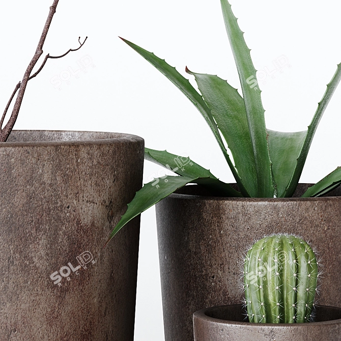 Indoor Greenery: Dynamic Composition 3D model image 2